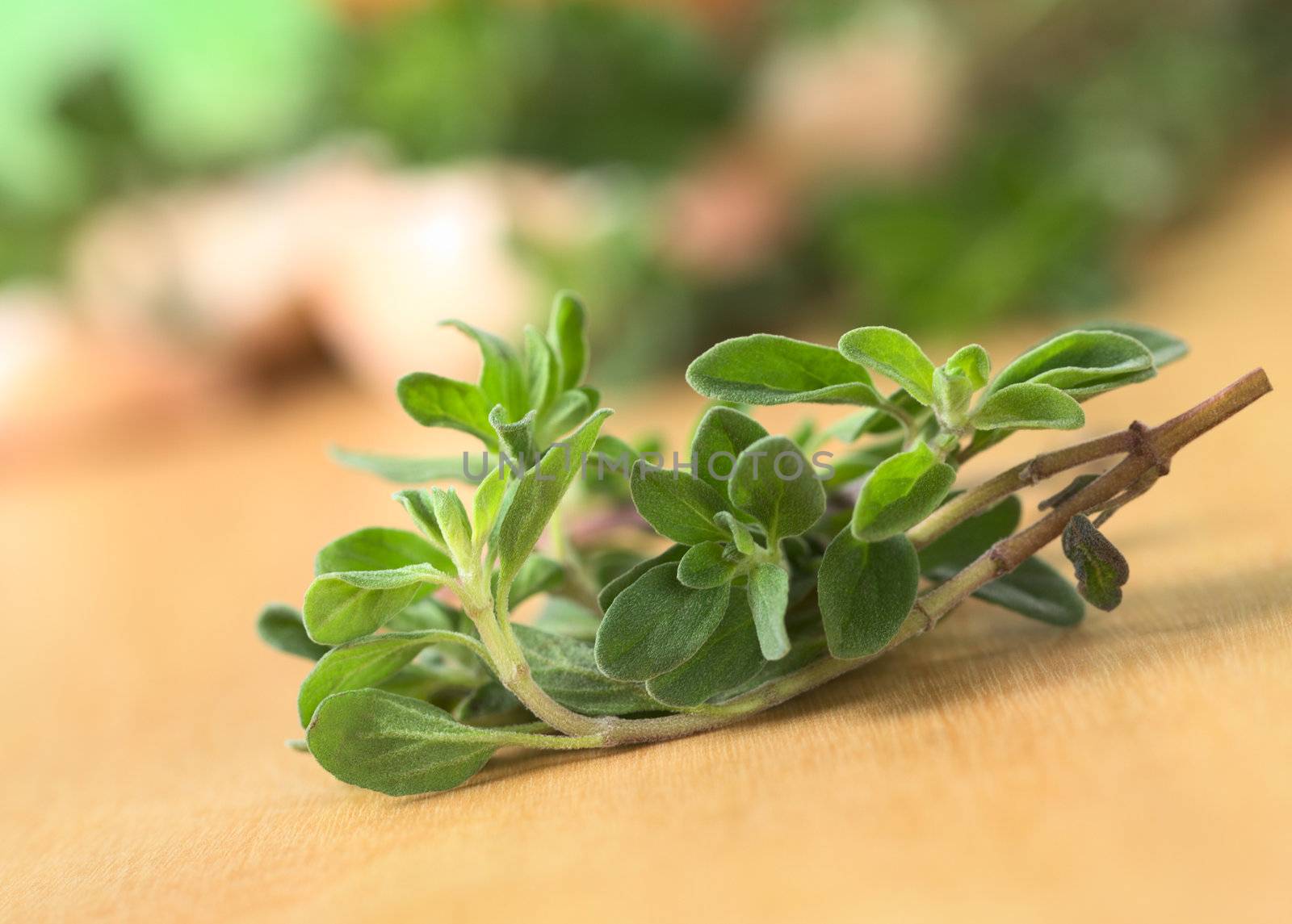 Fresh marjoram twig on wooden board (Selective Focus, Focus on some of the leaves in the front)