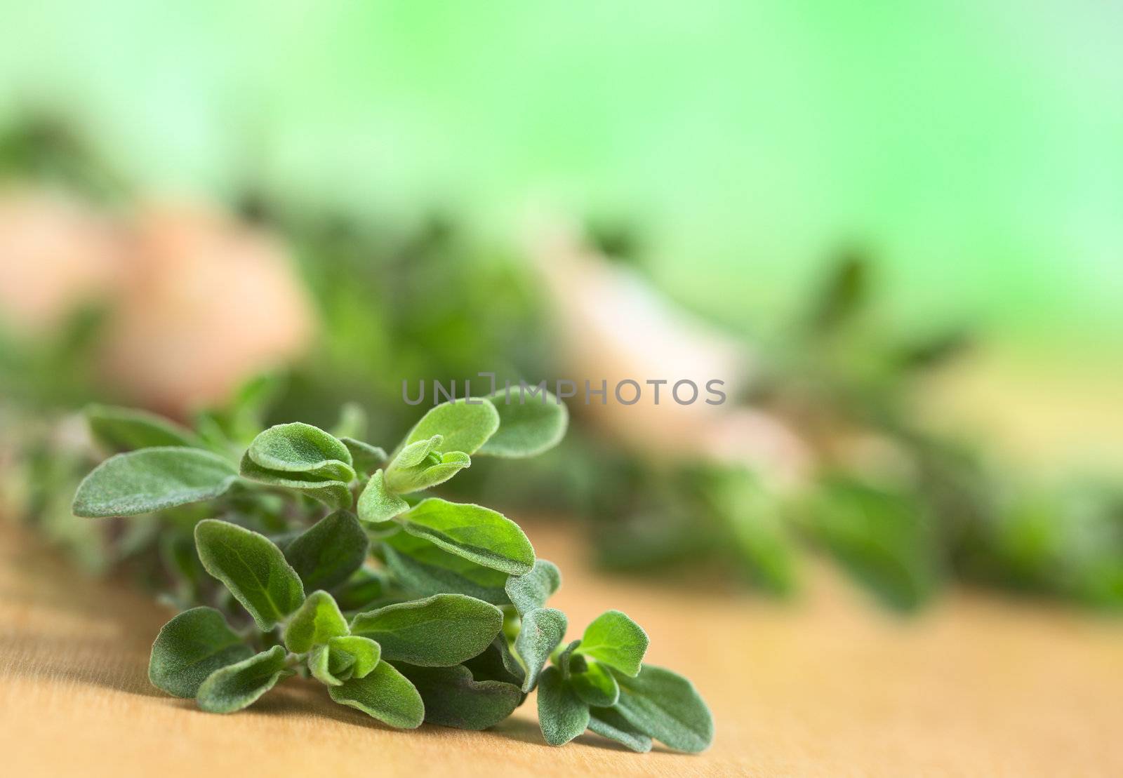 Fresh marjoram on wooden board (Selective Focus, Focus on some of the leaves in the front)
