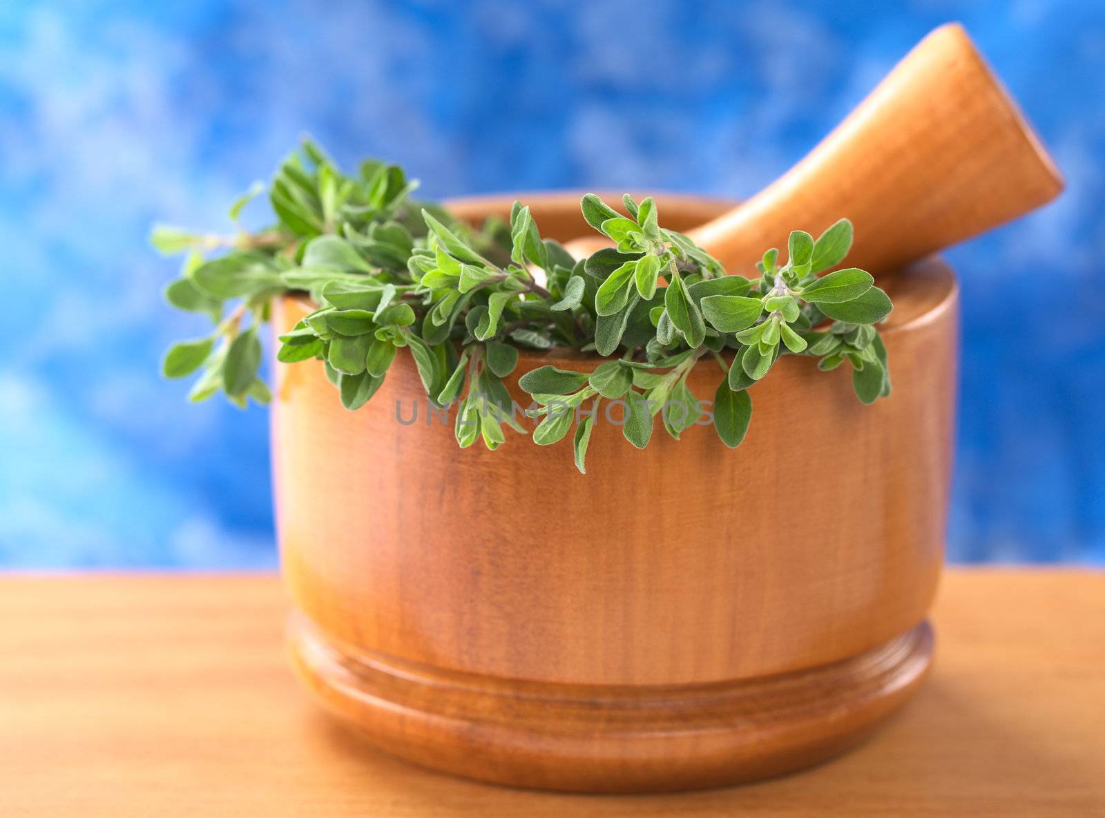 Fresh marjoram in wooden mortar with wooden pestle with a blue background (Selective Focus, Focus on the leaves in the front)
