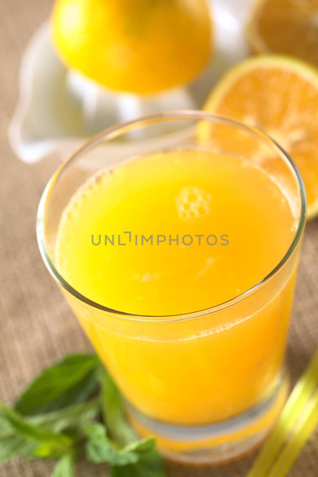 Fresh Orange Juice by ildi