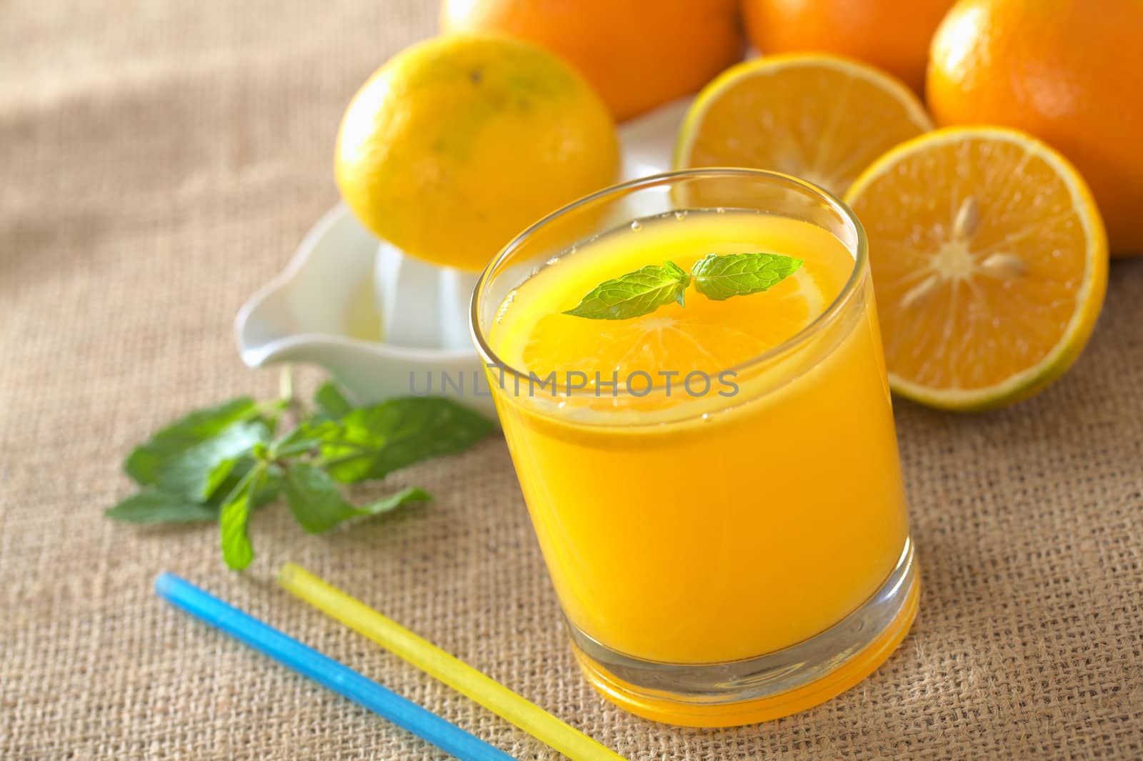 Freshly squeezed orange juice with orange slice and mint leaf on top of the juice (Selective Focus, Focus on the mint leaf on top of the juice)