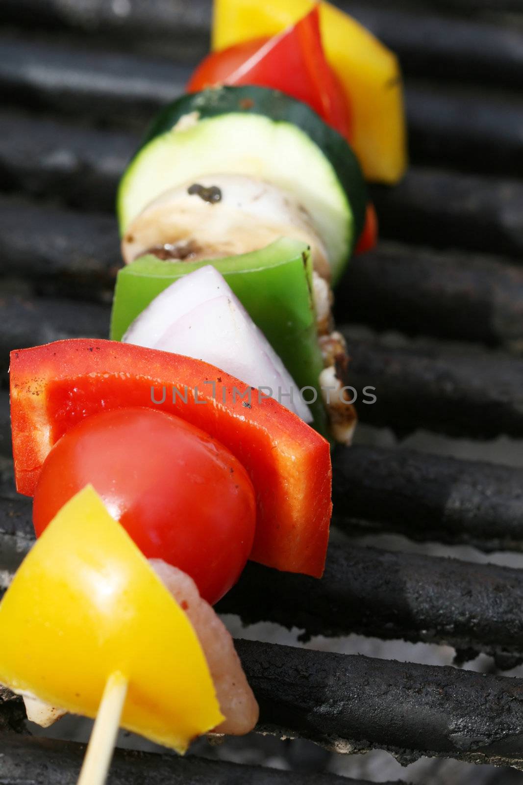 Grilling a kabob during a summer picnic at the park