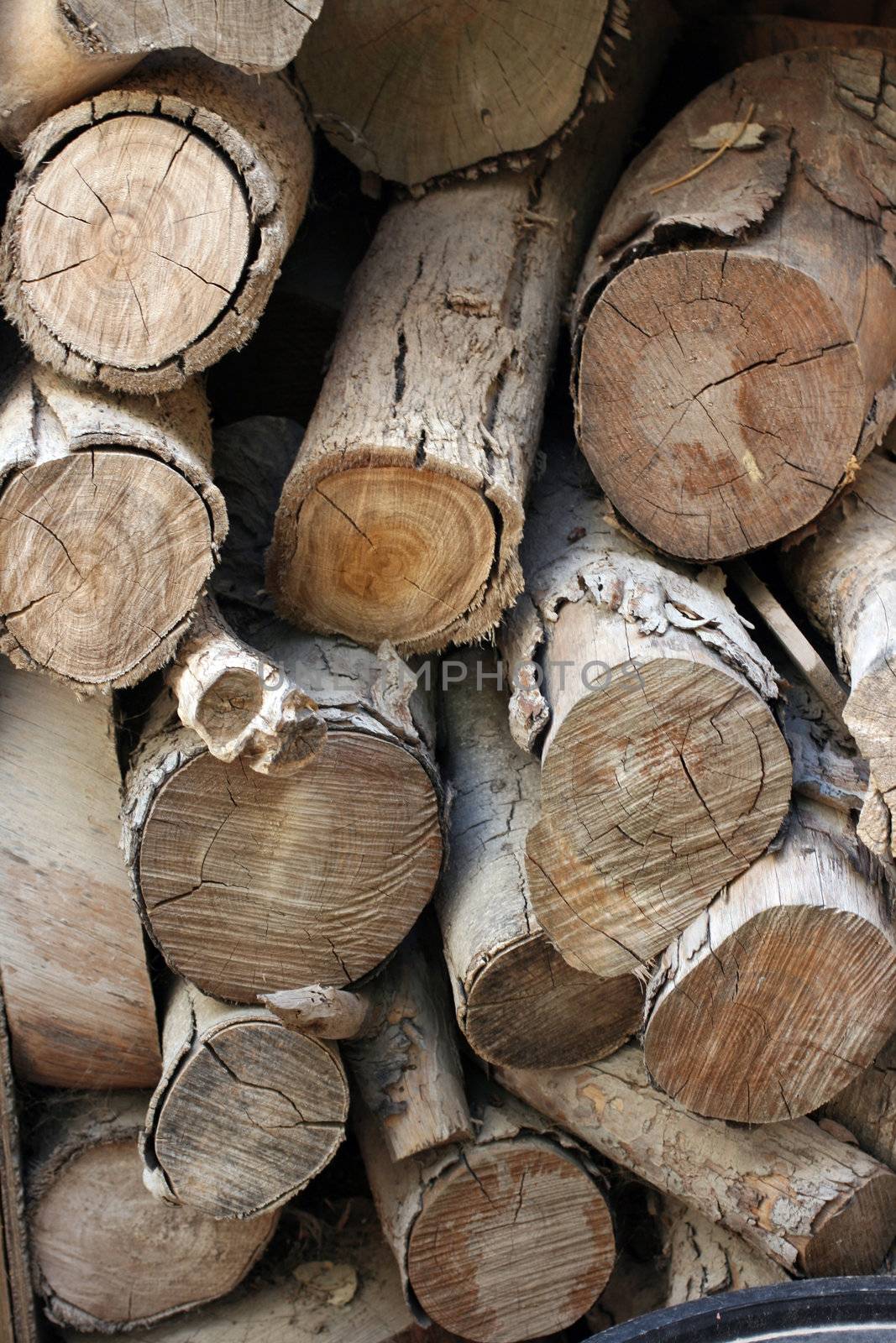 details of a pile of logs