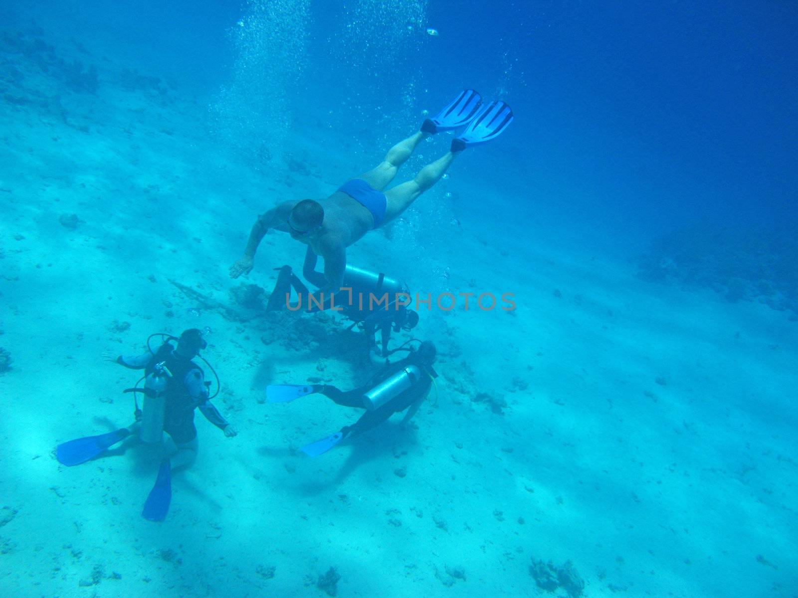 Divers in Red sea