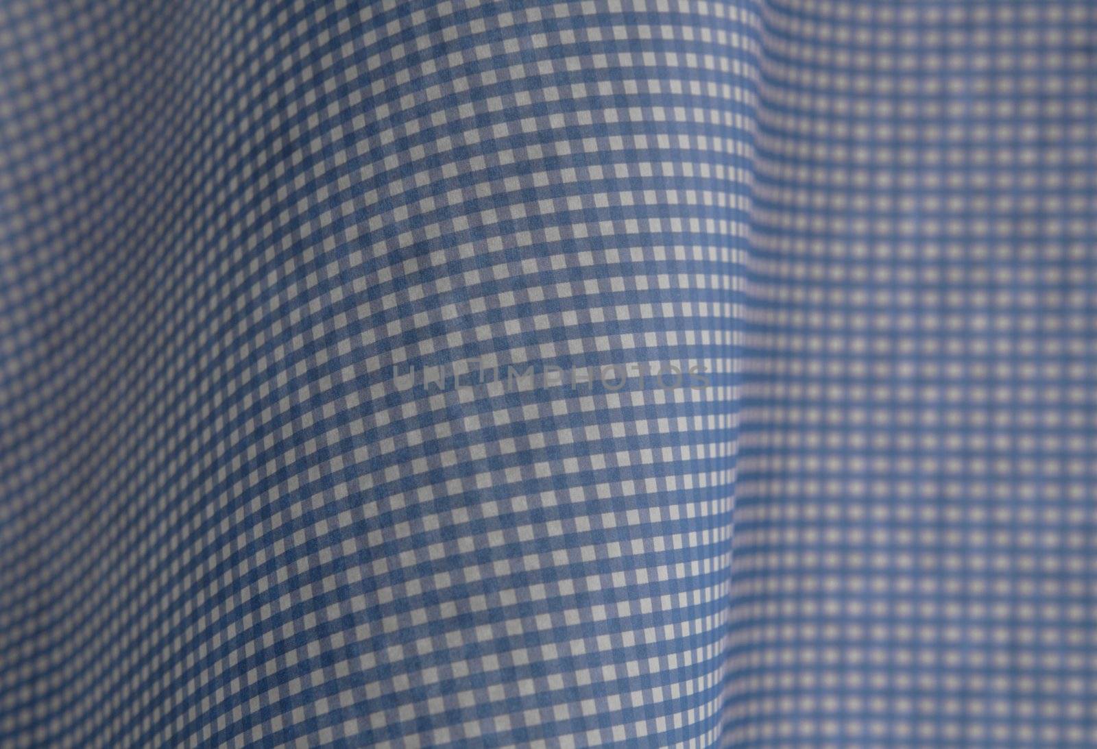 blue gingham with a graceful curve