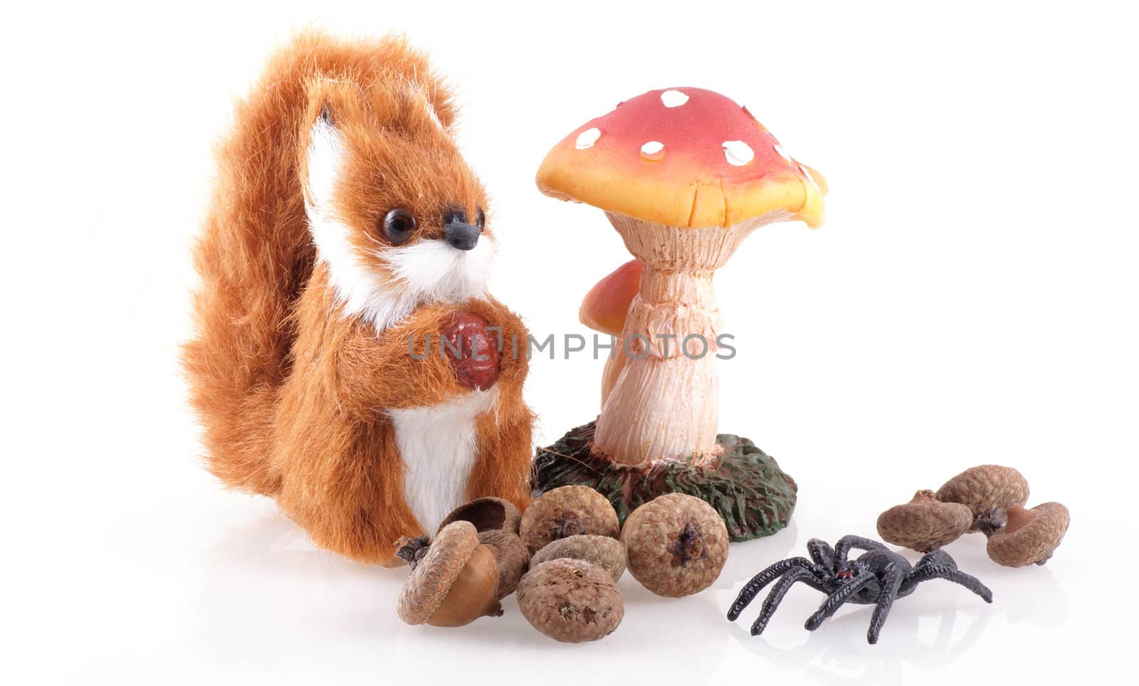 Squirrel, spider, toadstool and acorns on a white background.