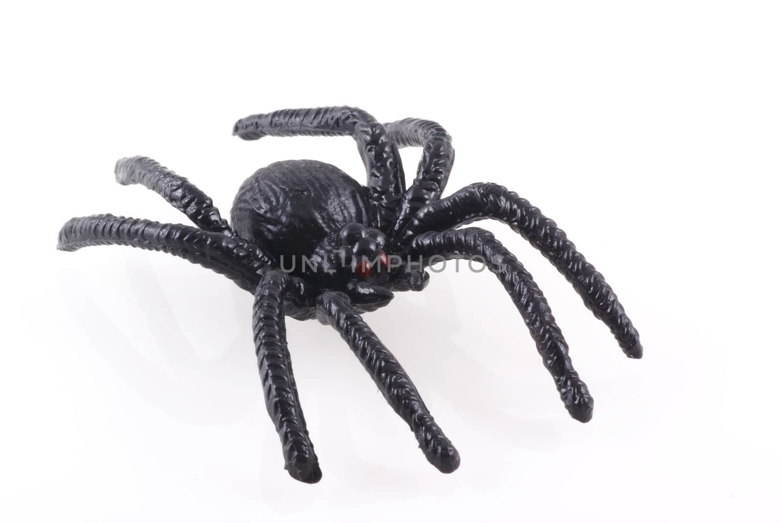 Big black toy spider isolated on a white background.