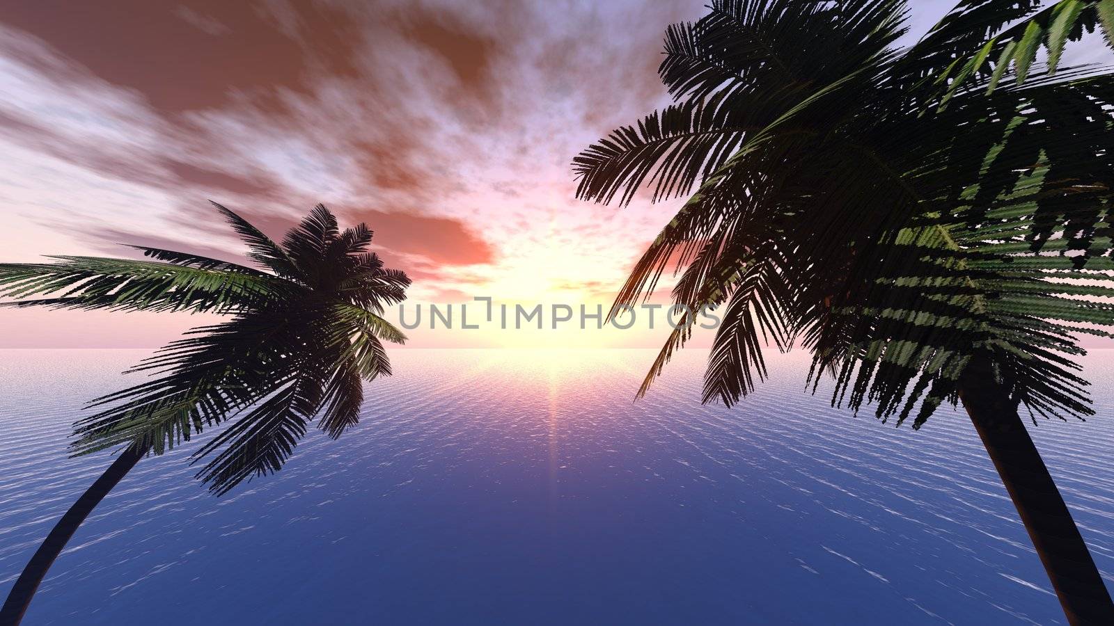 Sunset on a background of branches of palm trees and the effective sky. The yellow sun with very beautiful reflection at ocean. Objective 8mm
