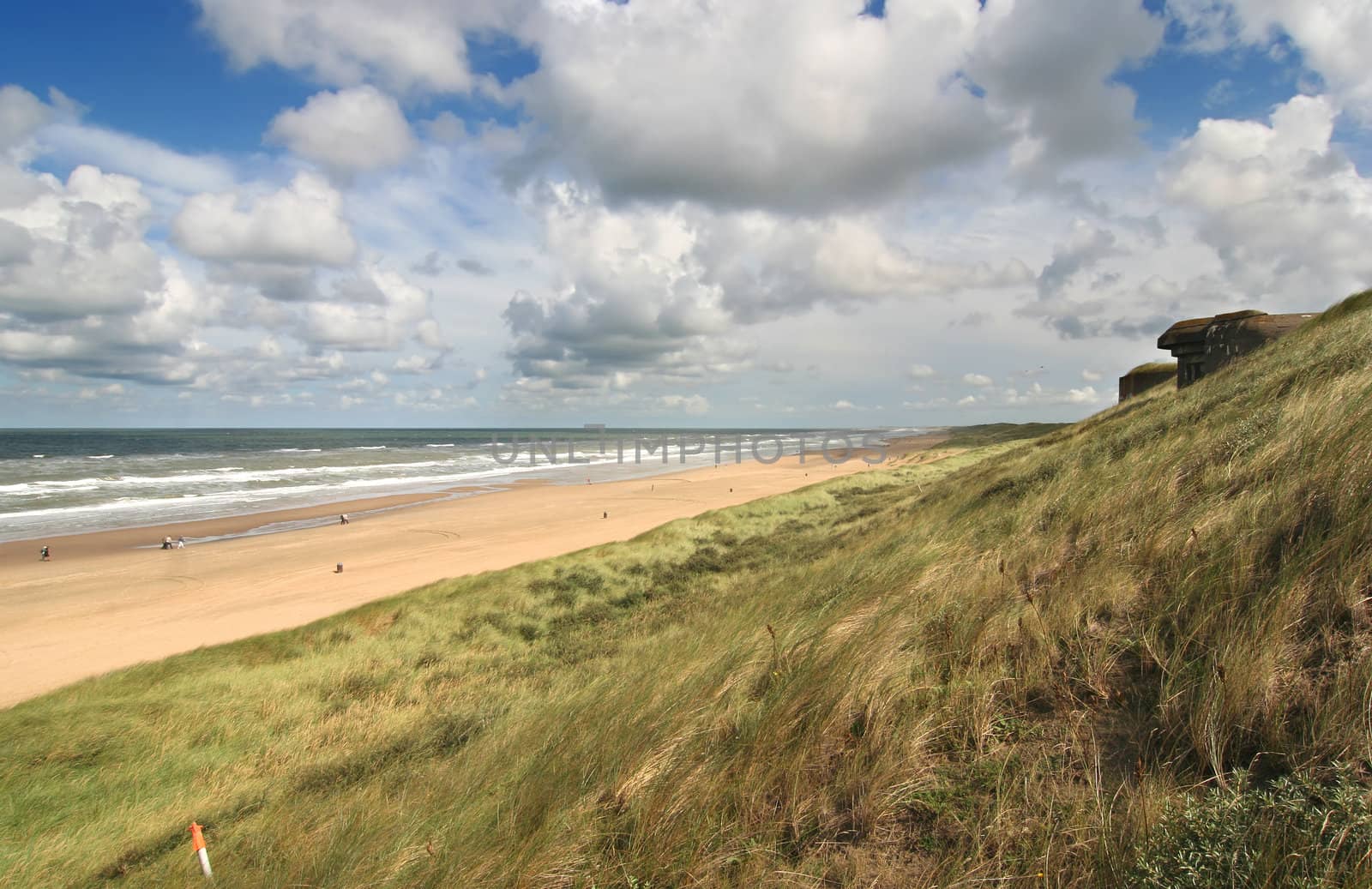 View along the Dutch coast with WWII bunkers in the dunes