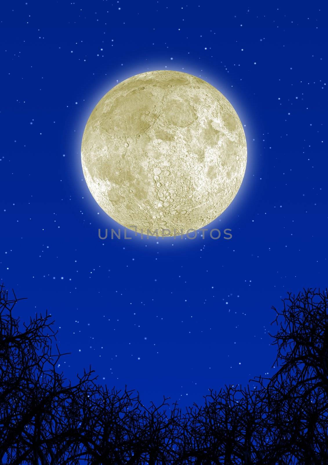 Highly detailed moon (it is removed with a bottom) with elements of contrast branches of dry trees