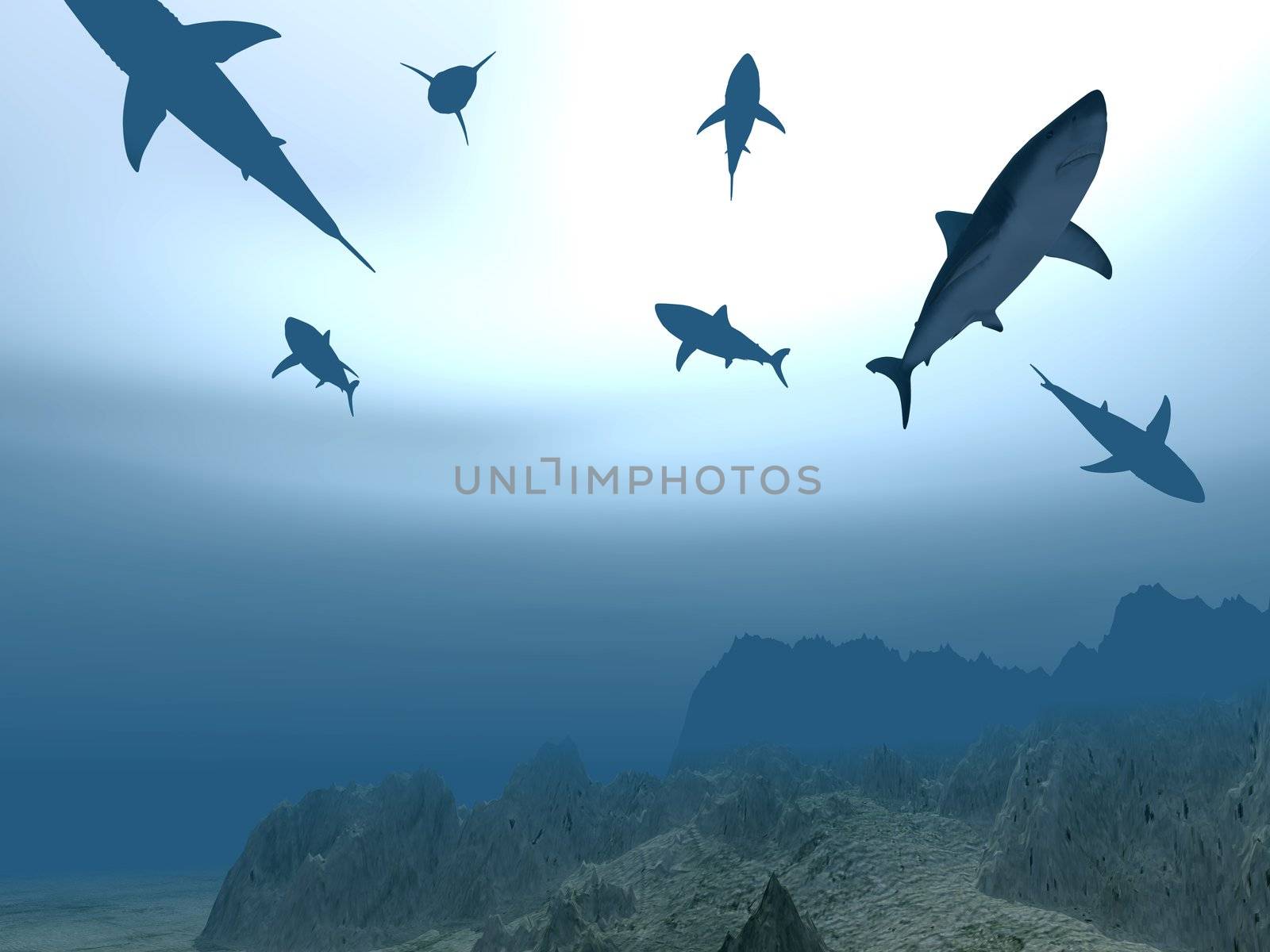 Flight of sharks in different poses near a sea-bottom on a background of light from the sun passing through water (one shark strongly pronounced)