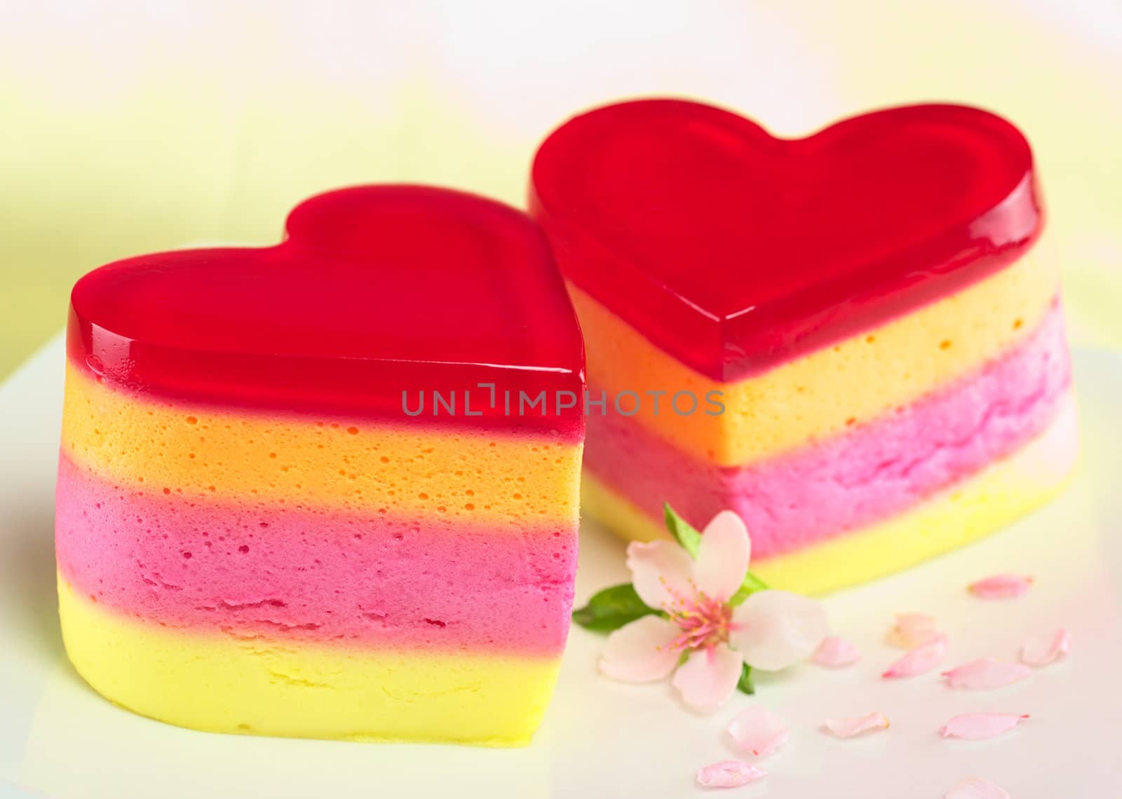 Colorful Peruvian heart-shaped jelly-pudding cakes called Torta Helada with a peach blossom on the plate (Selective Focus, Focus on the three upper lines on the front of the left cake)