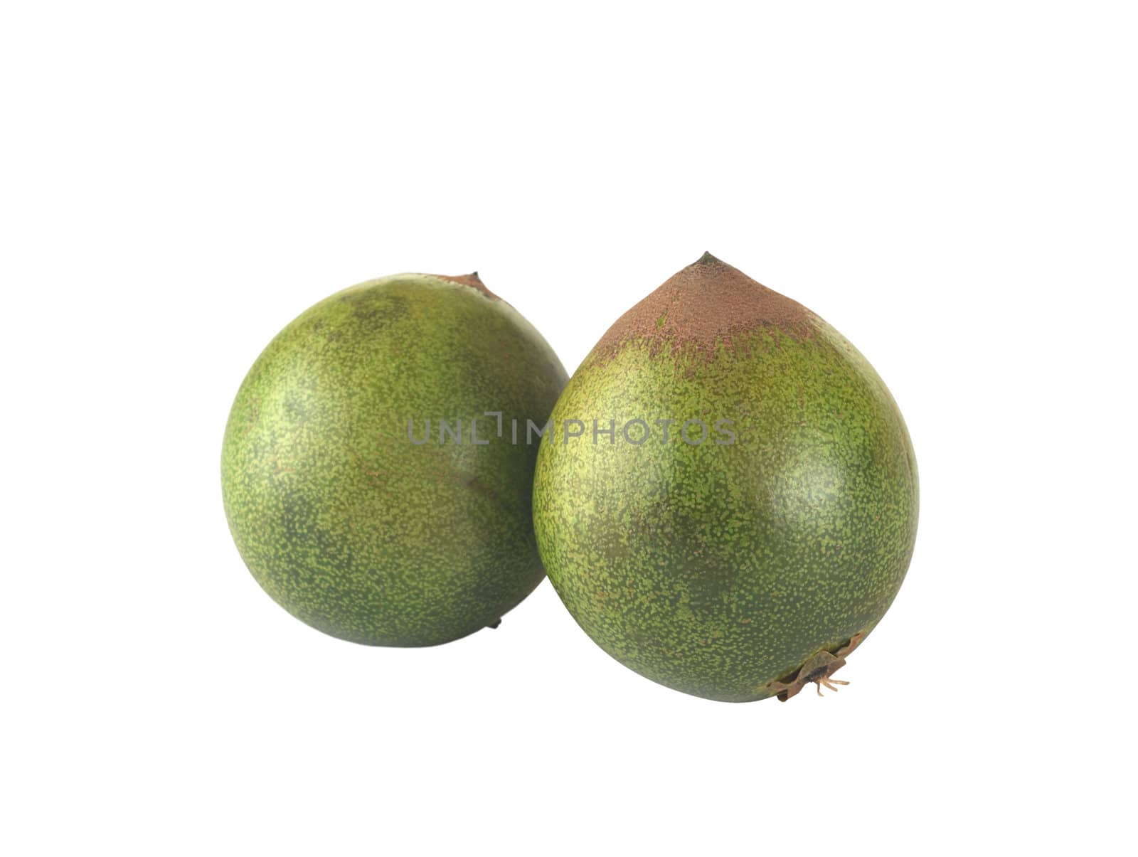 Fruit called Lucuma (lat. Pouteria lucuma) grown in the Andean region of Peru, which is very popular in Peru (Isolated on White)