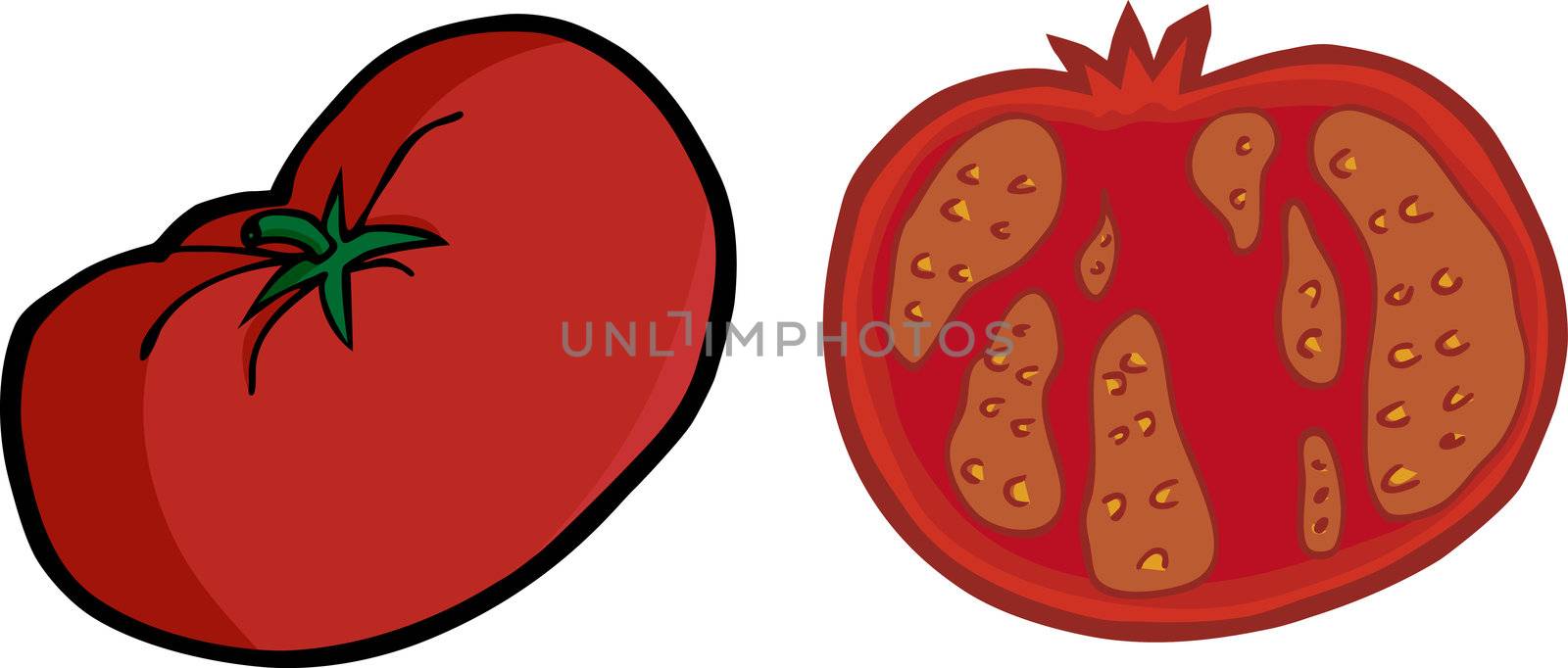 One large tomato illustration with a sliced version