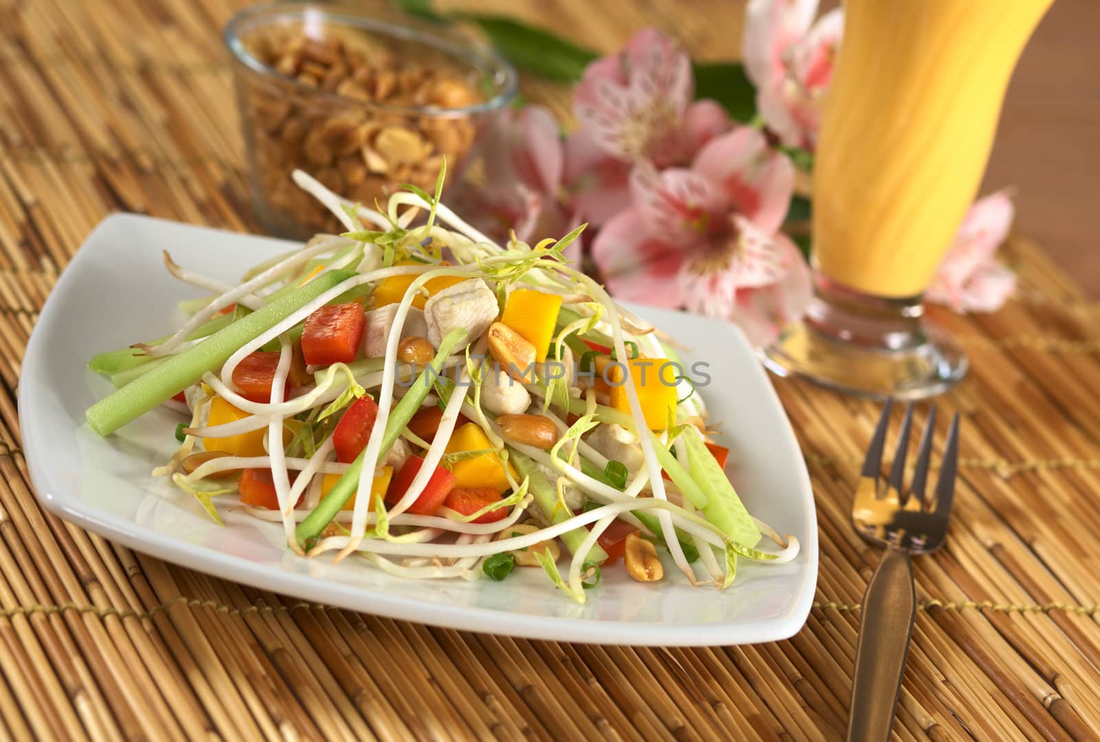 Fresh Asian salad with chicken, mango, cucumber, bean sprouts, red bell pepper and peanuts with mango juice in the back (Selective Focus, Focus on the top of the pile)