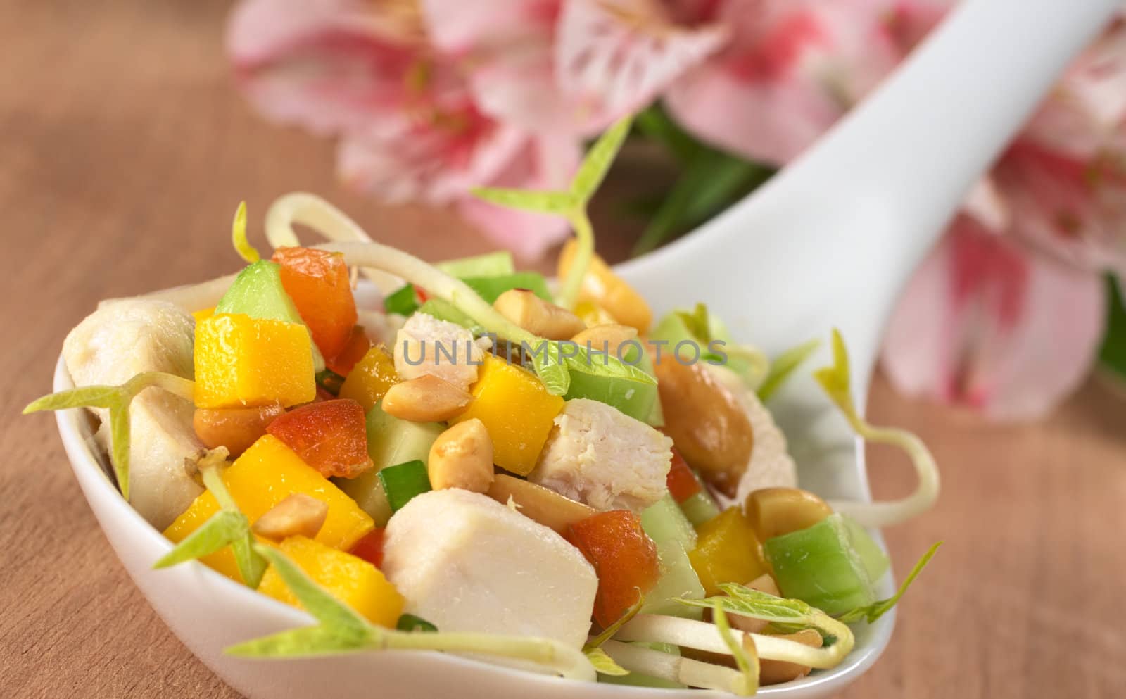 Fresh Asian salad with chicken, mango, cucumber, bean sprouts, red bell pepper and peanuts on ceramic spoon with inca lily in the back (Selective Focus, Focus on the chicken and the mango on the top)