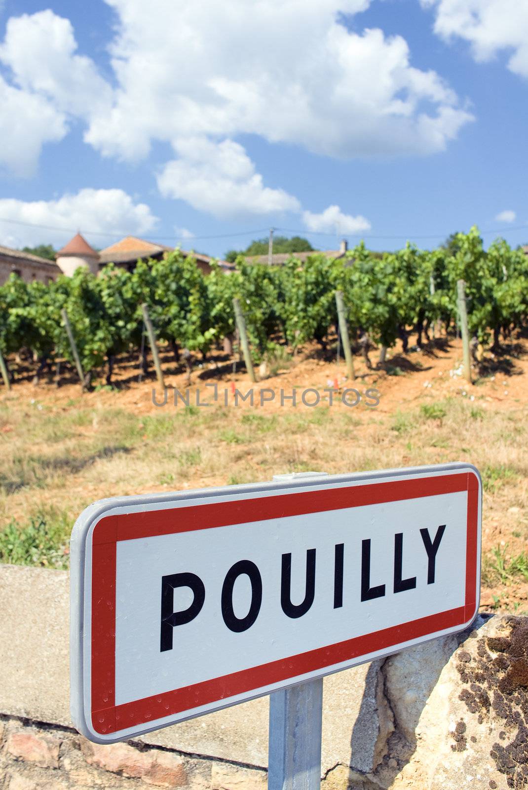 Pouilly, a famous french city with wine agriculture