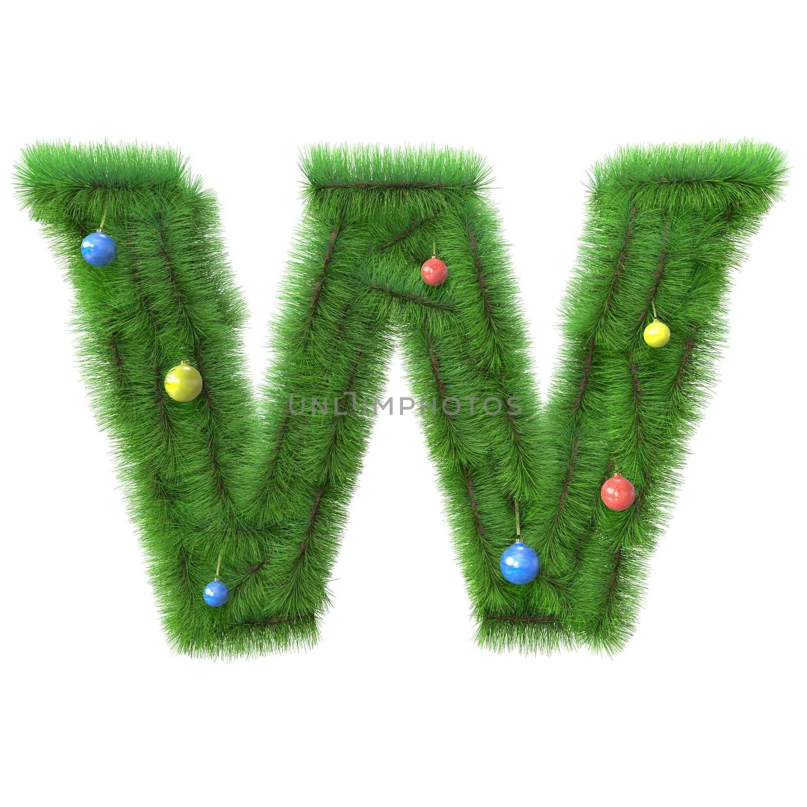 W letter made of christmas tree branches isolated on white background