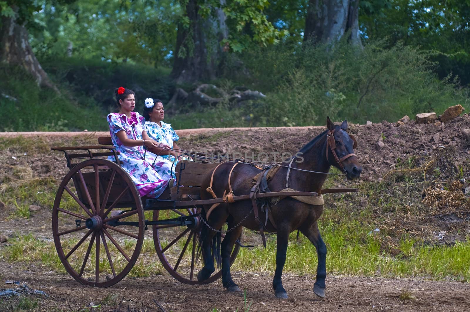 TACUAREMBO, URUGUAY - MAR 5 : Participants in the annual festival "Patria Gaucha" on March 5, 2011 in Tacuarembo, Uruguay. It is one of the biggest festival in South America to celebrate gaucho culture