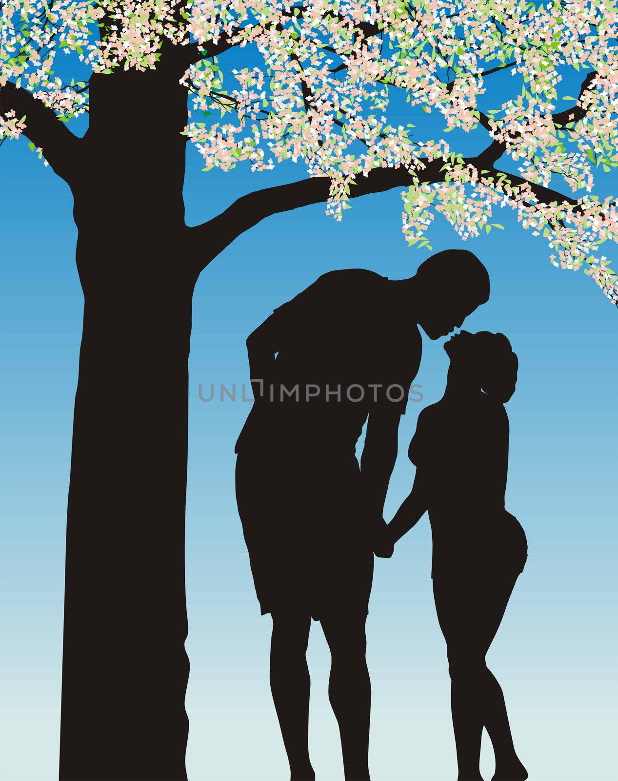 Illustration lovers under flowery cherry tree