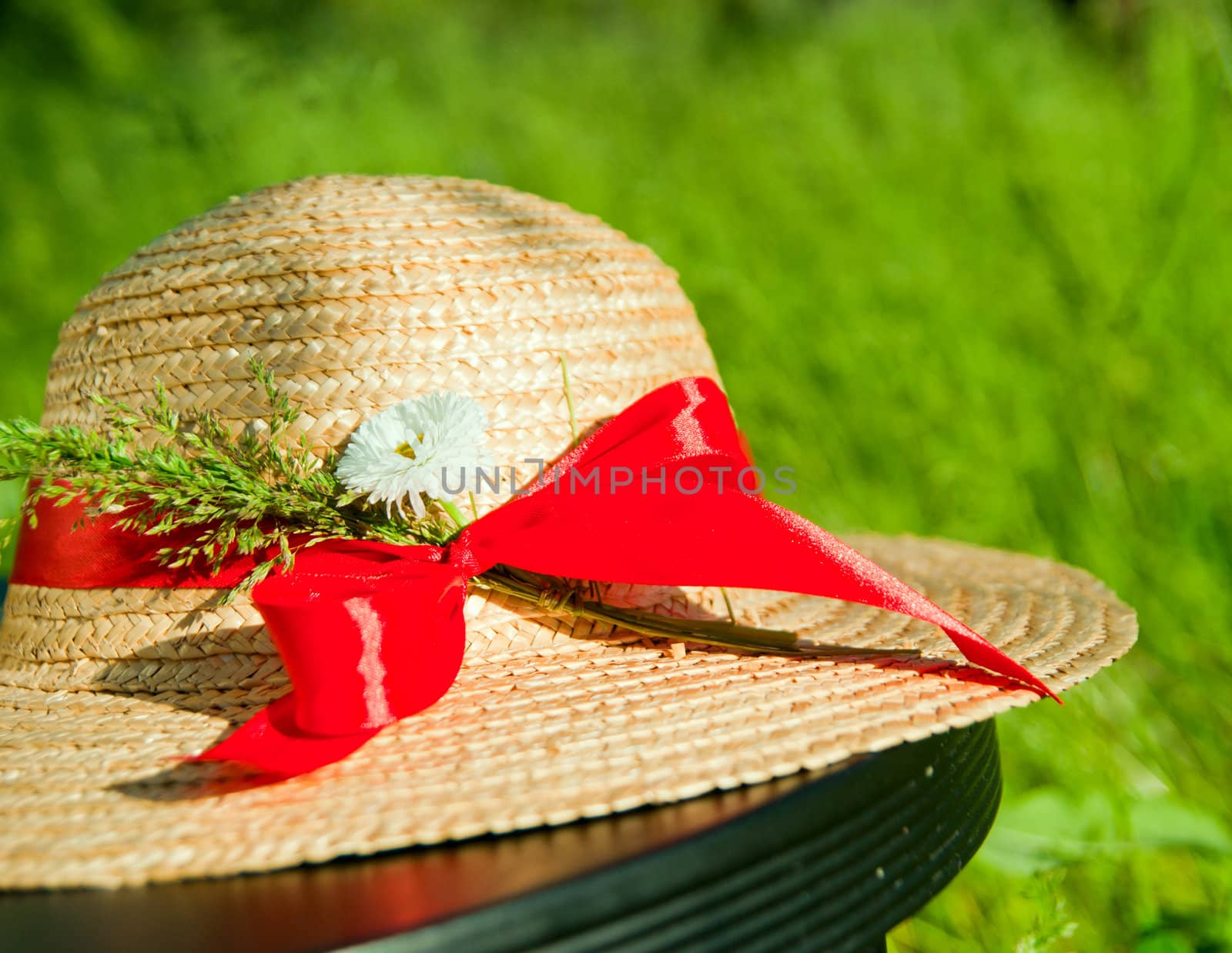 Old straw hat with red ribbon in the grass