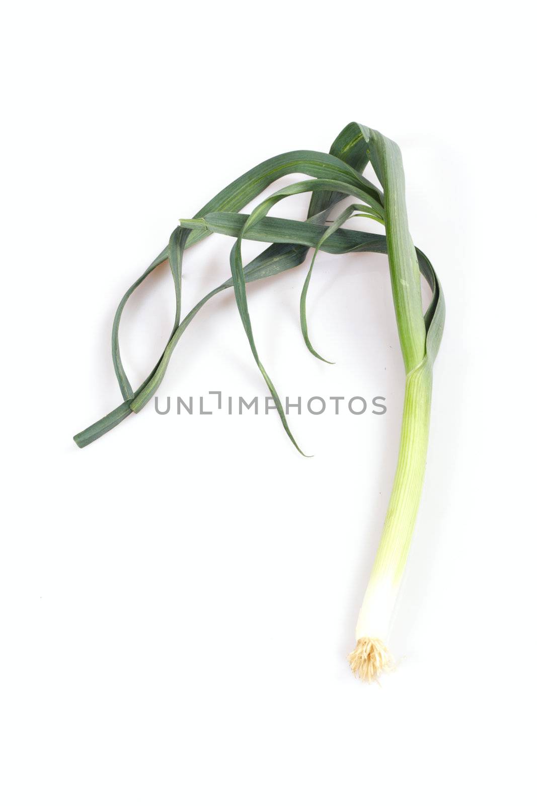 green leek,  photo on the white background