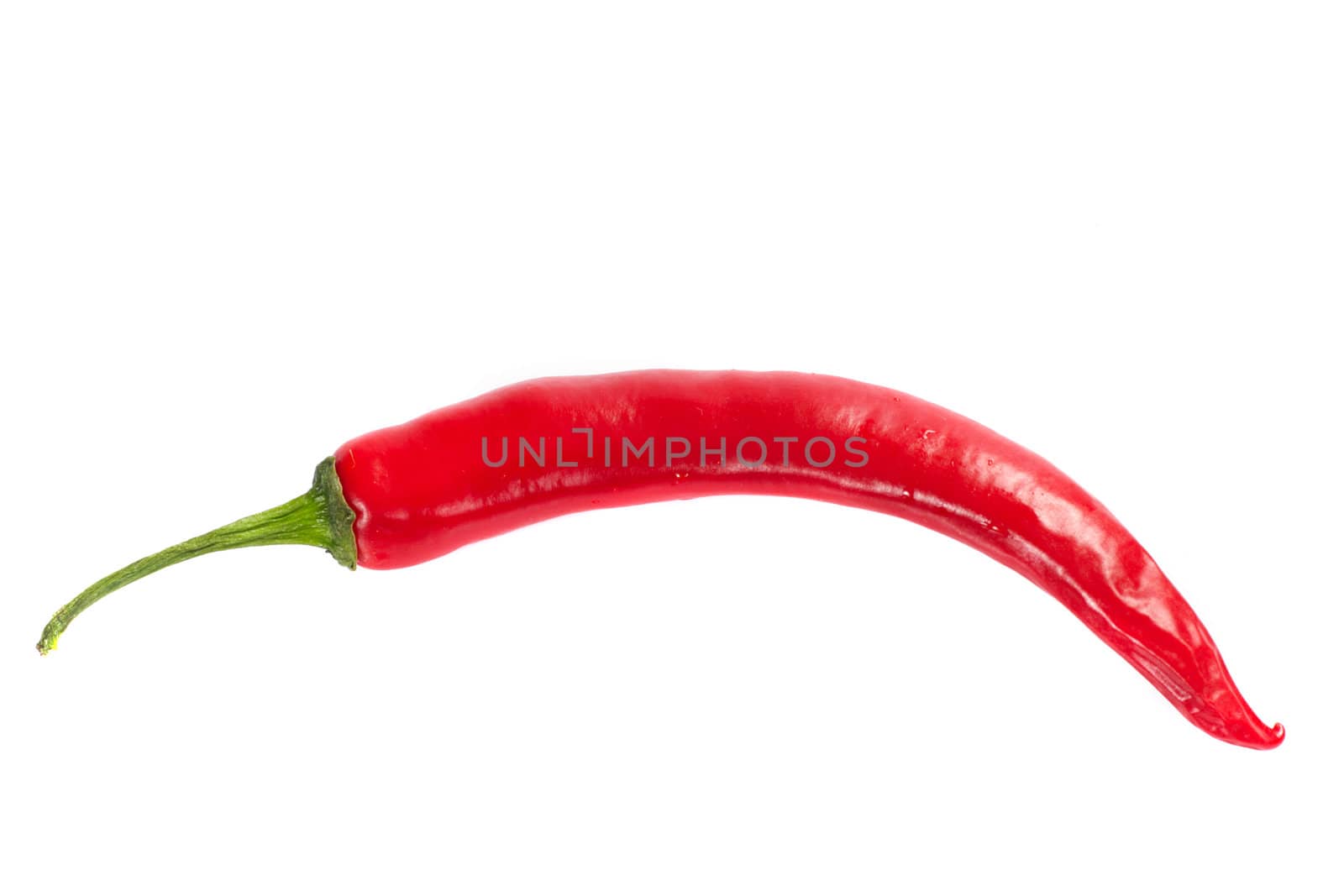 Red pepper photo on the white background