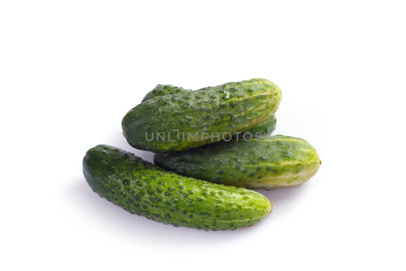 green cucumbers, photo on the white background