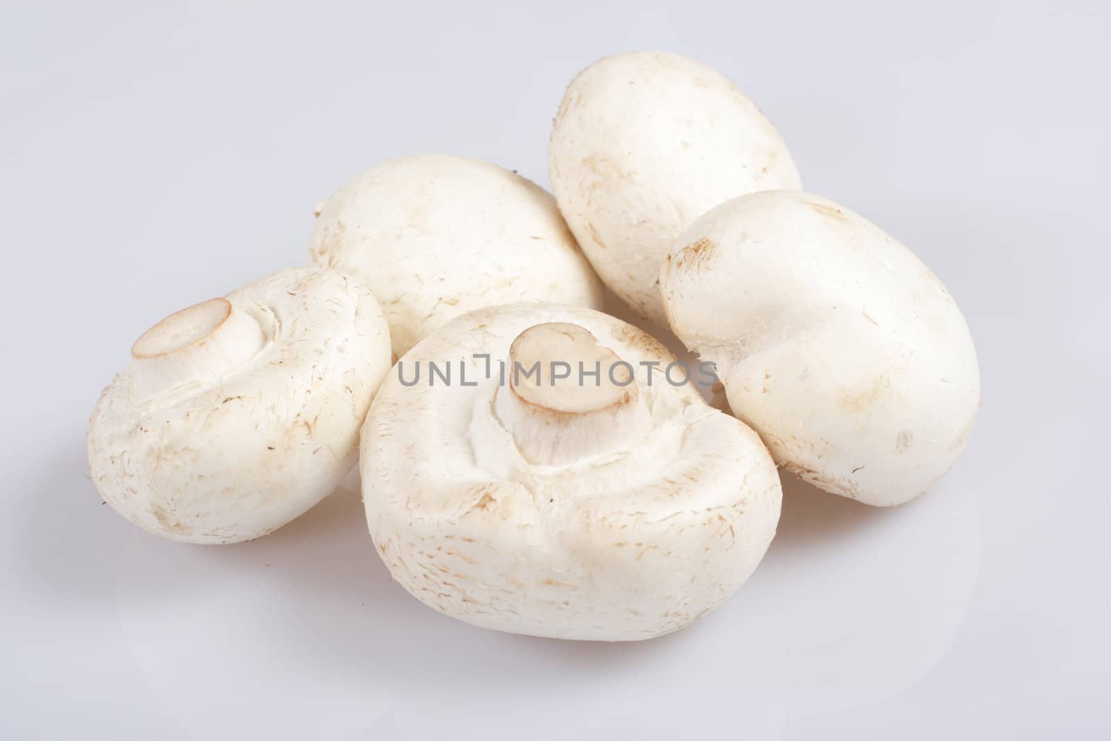  Button mushrooms, photo on the white background