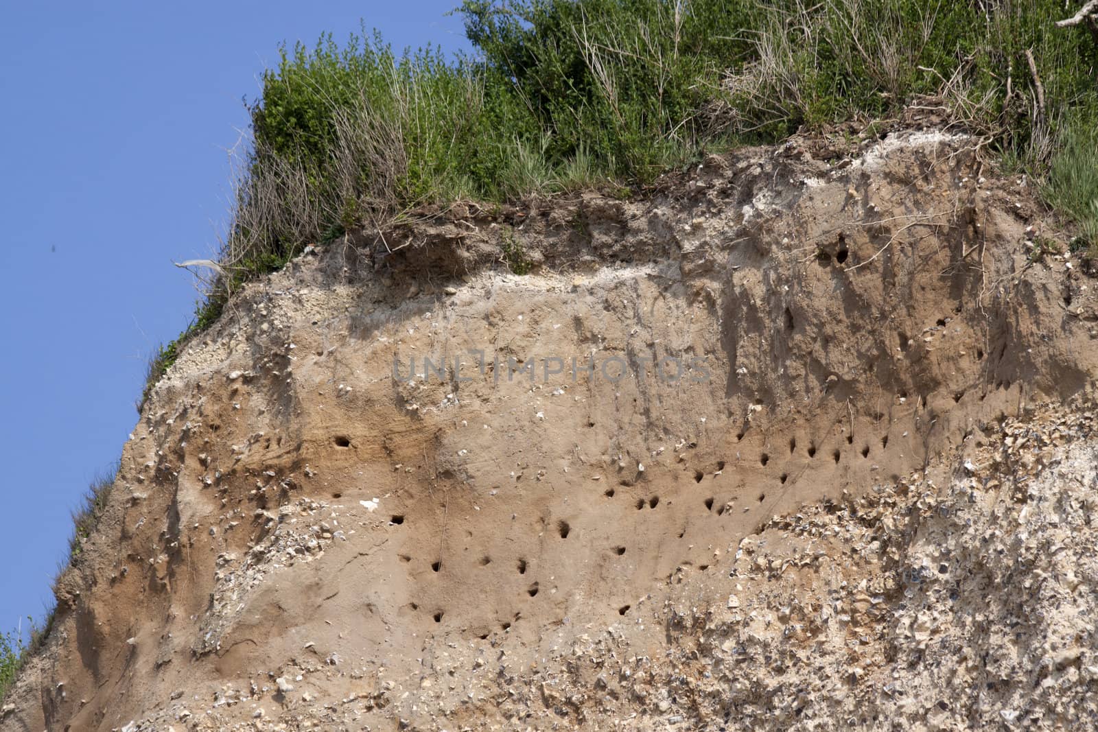 Chalk cliff along the beach in Normandie in France