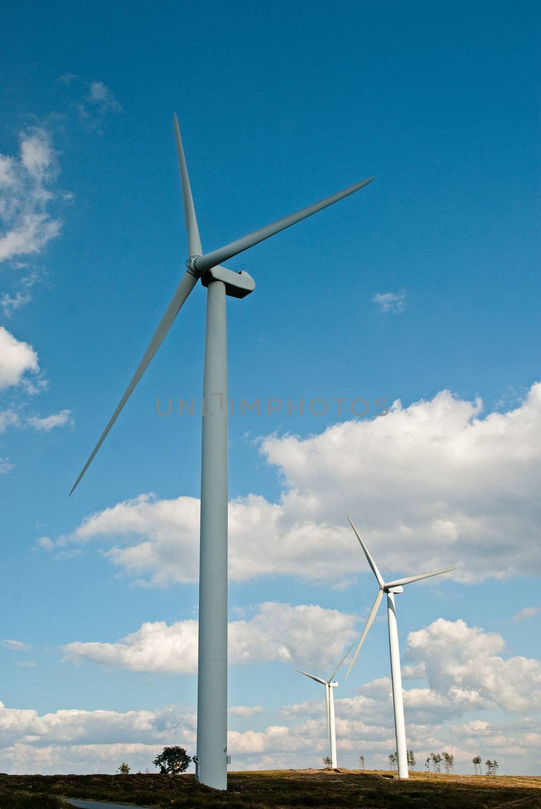 Wind turbines generating electricity with cloudy blue sky on the background.