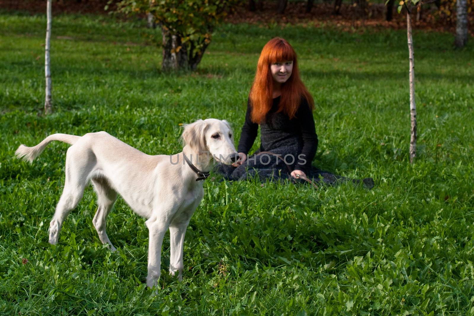 A girl in a black dress and white saliki pup in a forest 
