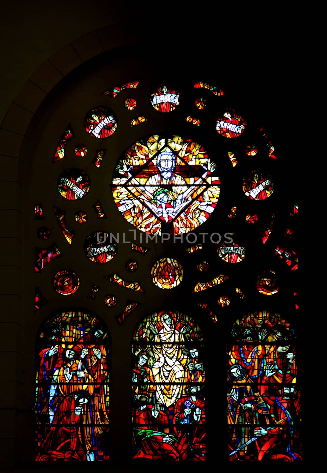 Stained glass in the Cathedral of St Vincent de Paul in Tunis by atlas