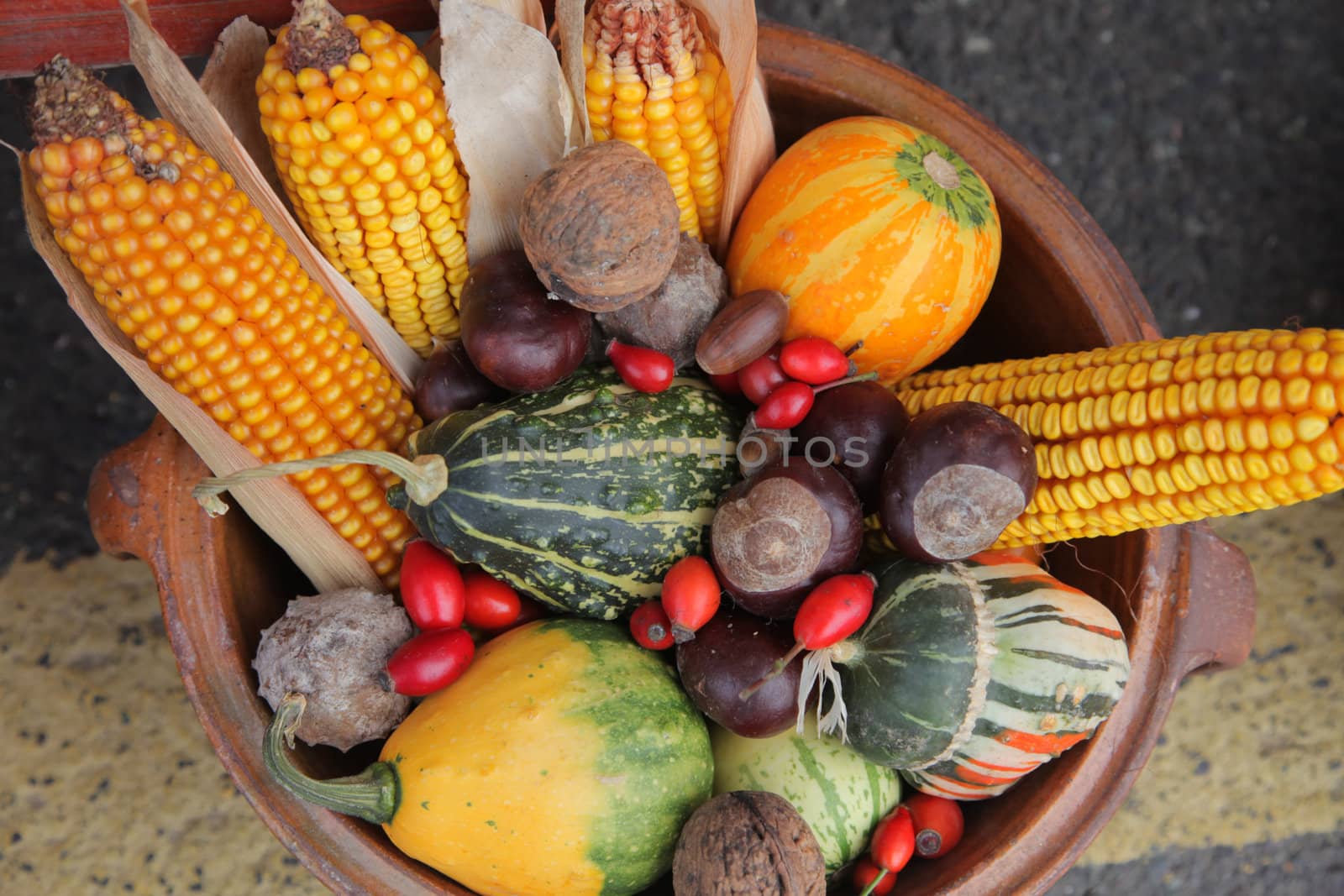 Autumn Harvest by atlas