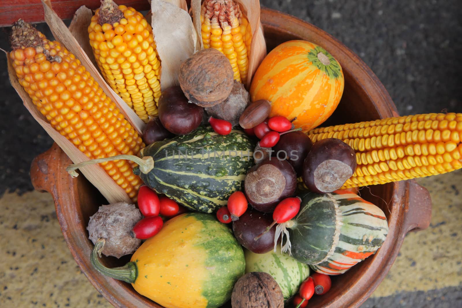 Autumn Harvest