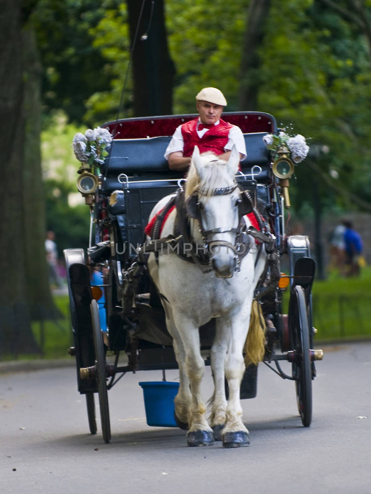 NEW YORK - JUNE 28 2011 : Horse drawn carrige riding through Central park in Manhattan. 