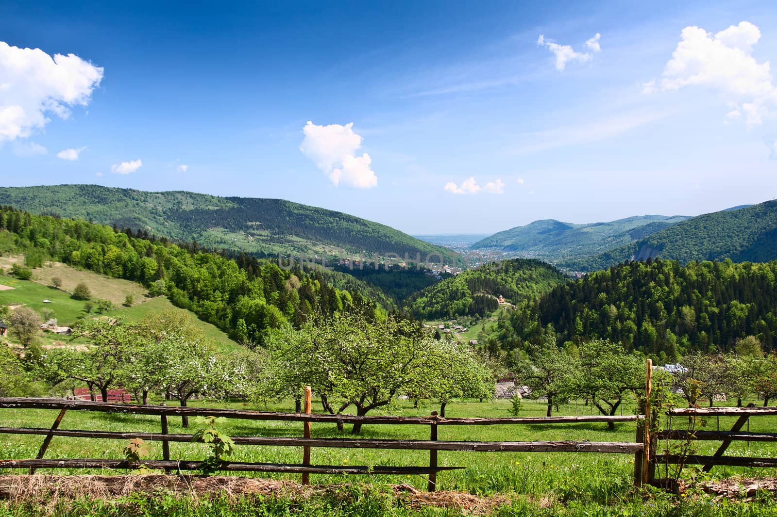 Beautiful mountain scenery. Carpathian Mountains.