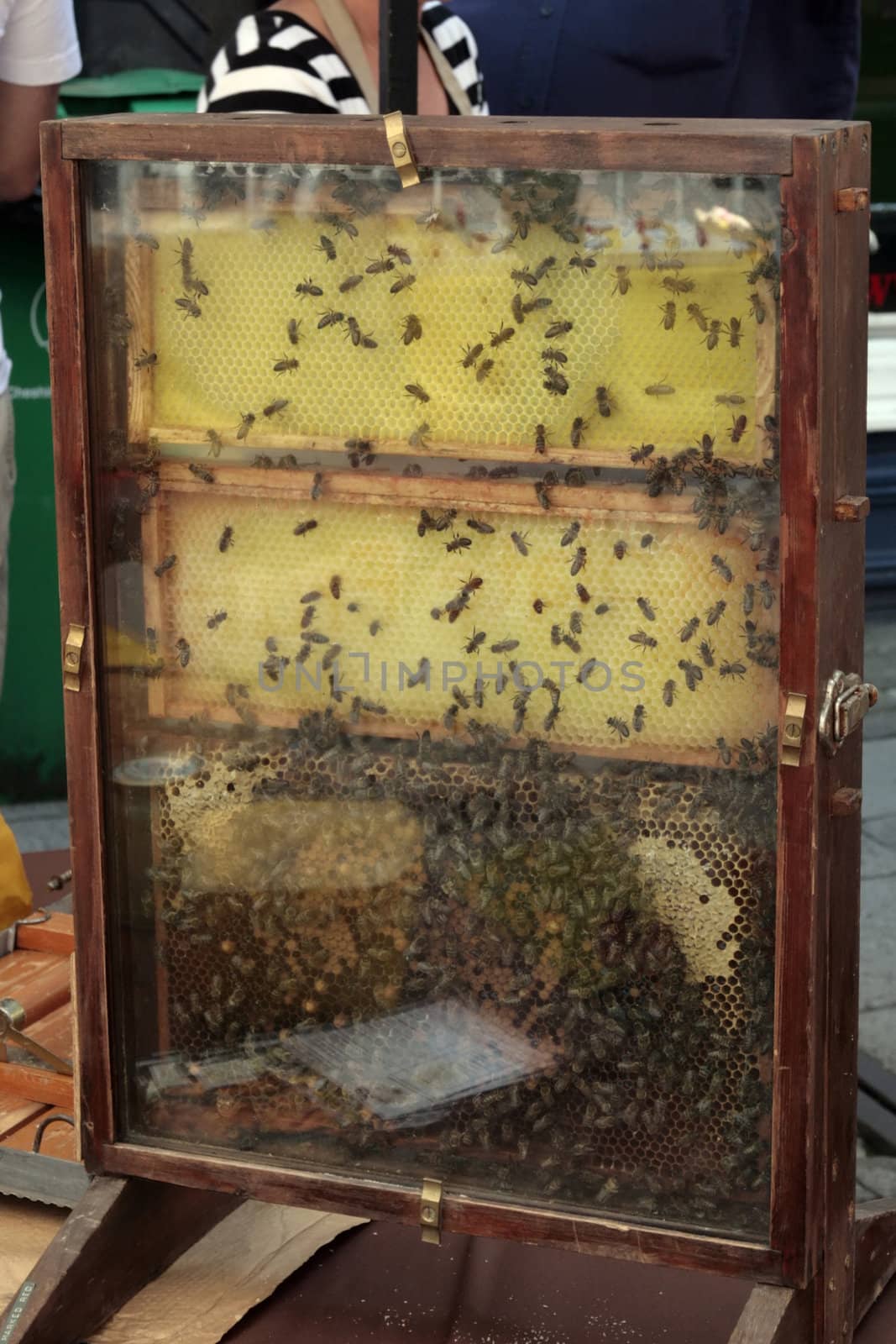a honey stall at a farmers market in an English country village