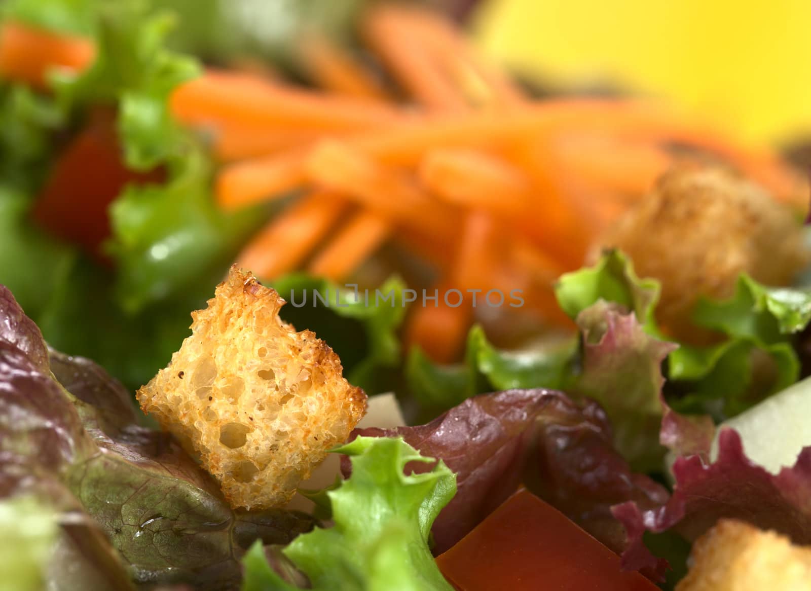 Crouton (sauteed bread) on fresh lettuce-tomato-cucumber-carrot salad (Very Shallow Depth of Field, Focus on the front of the crouton)