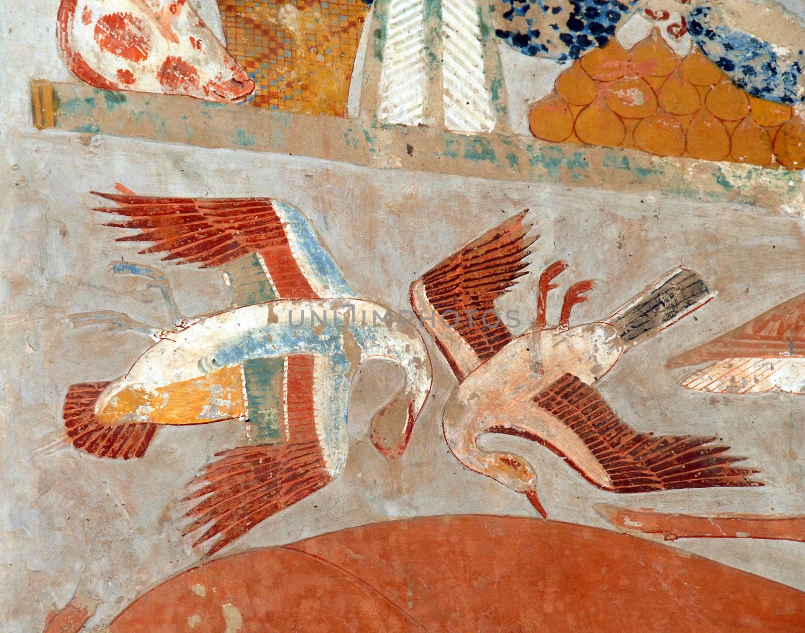 fragment of Egyptian art, illustration of birds, on wall in Hatshepsut Temple