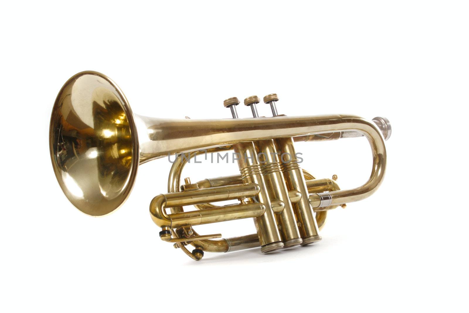 Old trumpet photo on the white background 