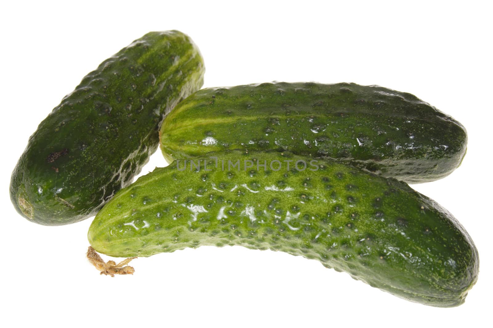 green cucumbers photo on the white background