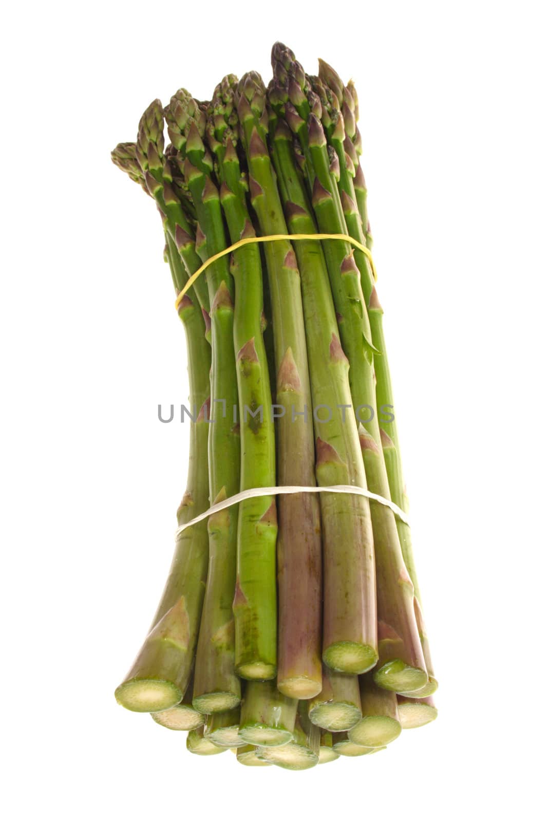 Fresh asparagus photo on the white background