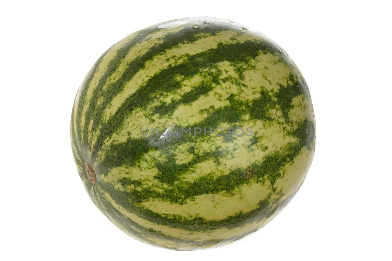 one Watermelon photo on the white background