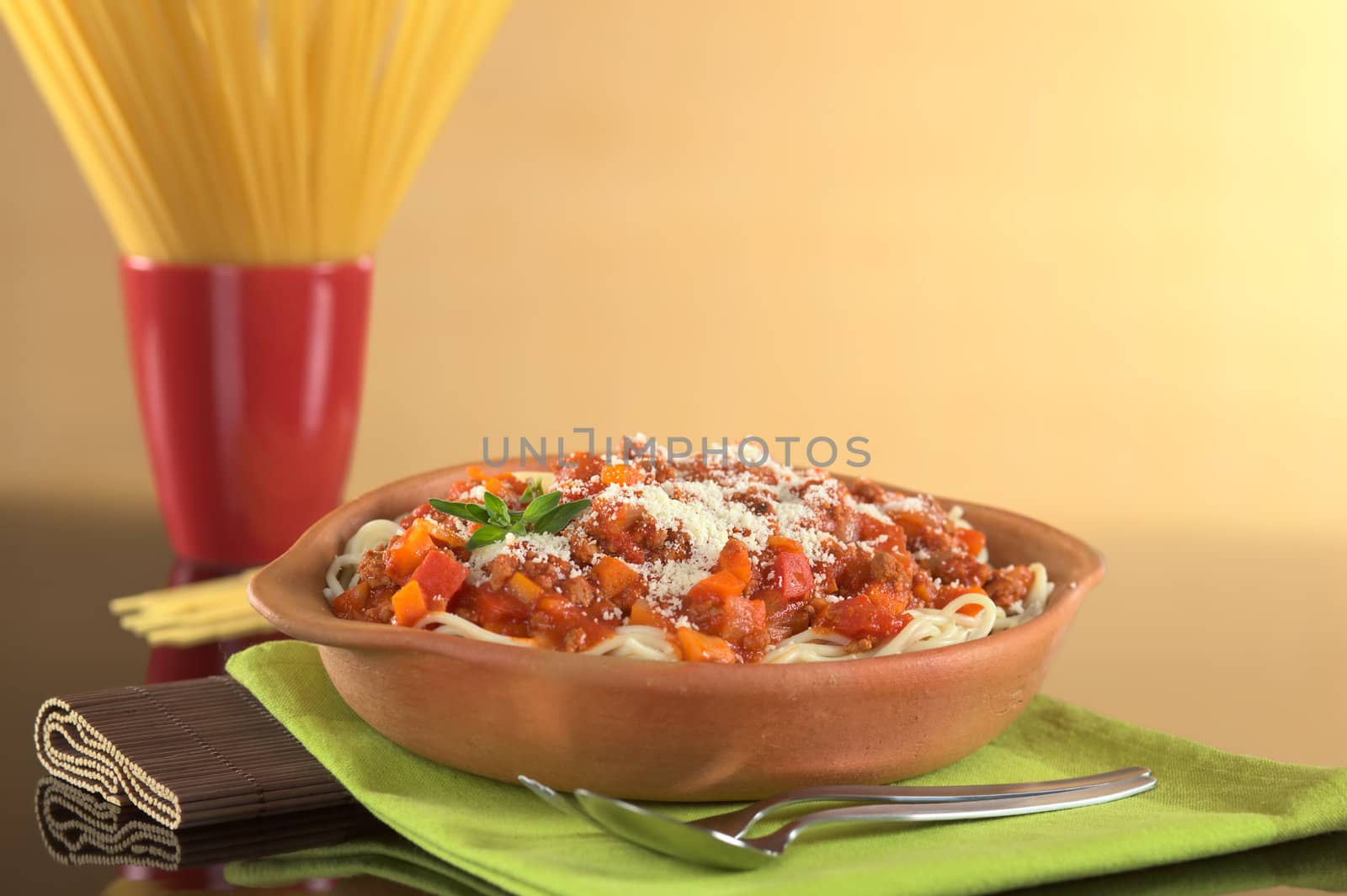 Spaghetti bolognaise made with minced meat, tomato, onion and carrot, topped with grated cheese and garnished with a fresh oregano leaf (Selective Focus, Focus on the oregano leaves on the spaghetti)