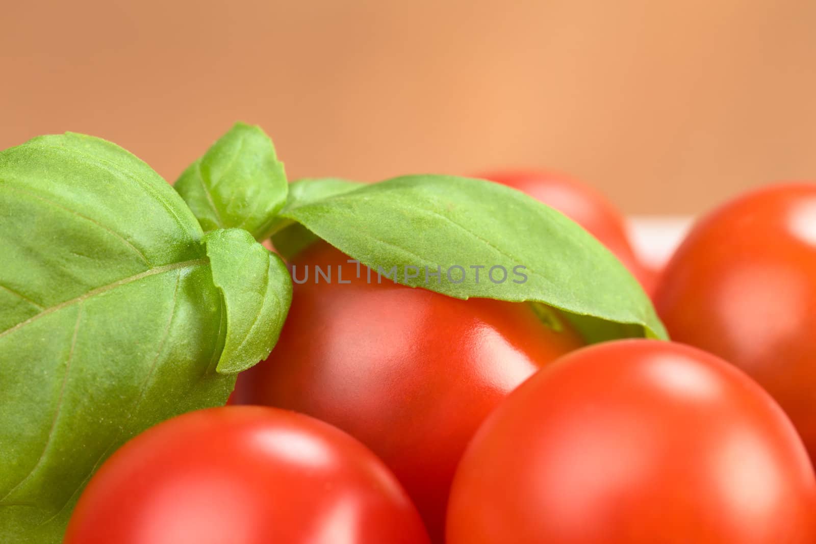 Basil leaf on cherry tomatoes (Very Shallow Depth of Field, Focus on the front of the basil leaf on the right) 