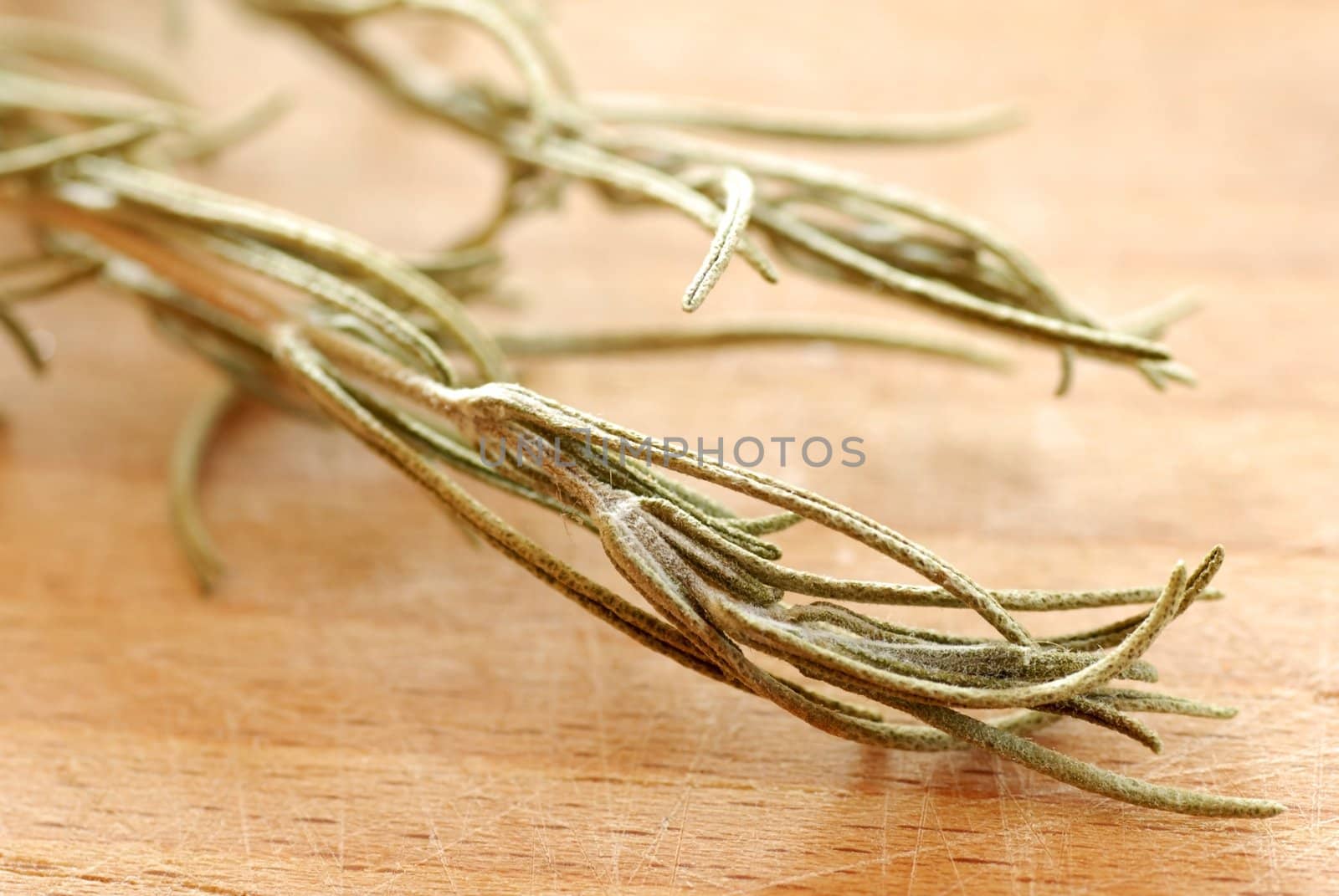 dry rosemary green sprigs over light brown background