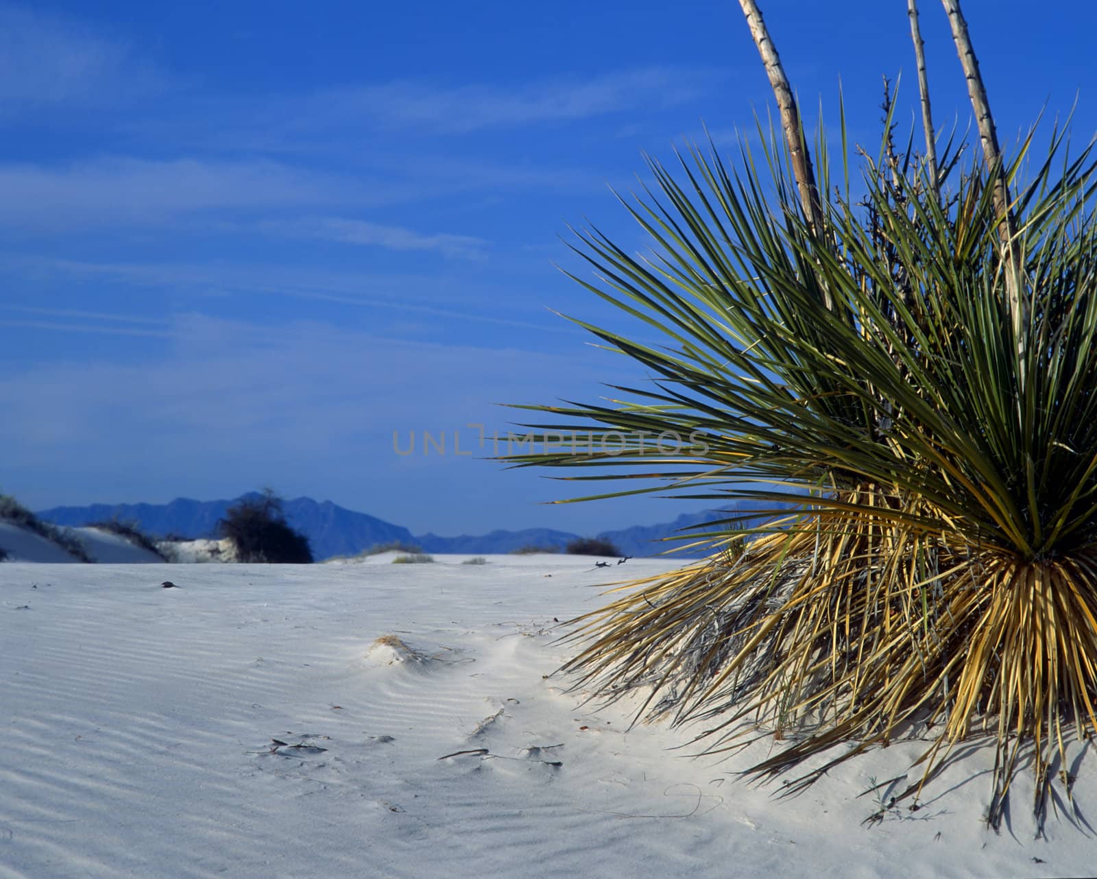 Rippled sand dunes in White Sands National Monument, New Mexico, USA