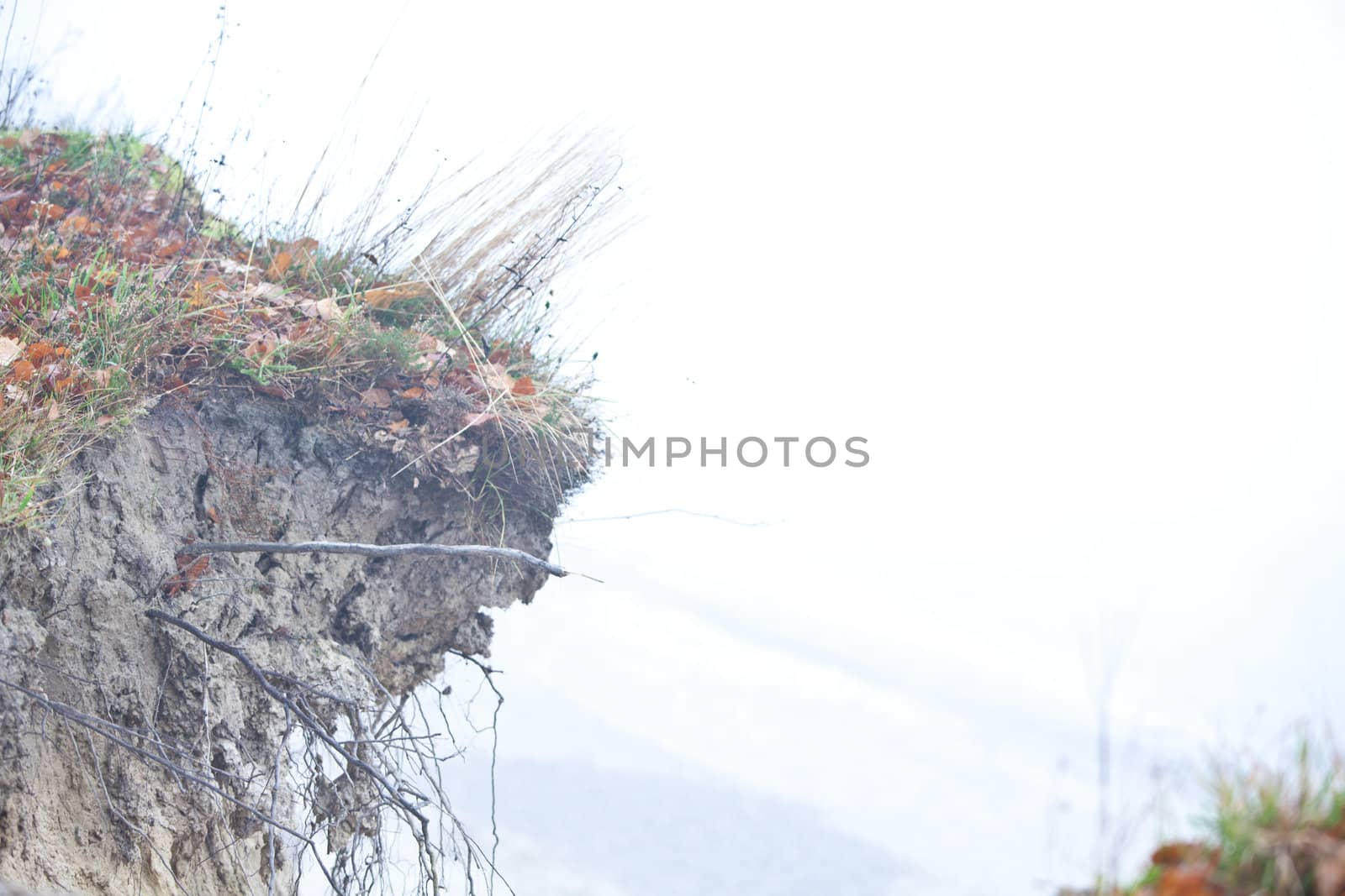 Wald im nebel by aidasonne