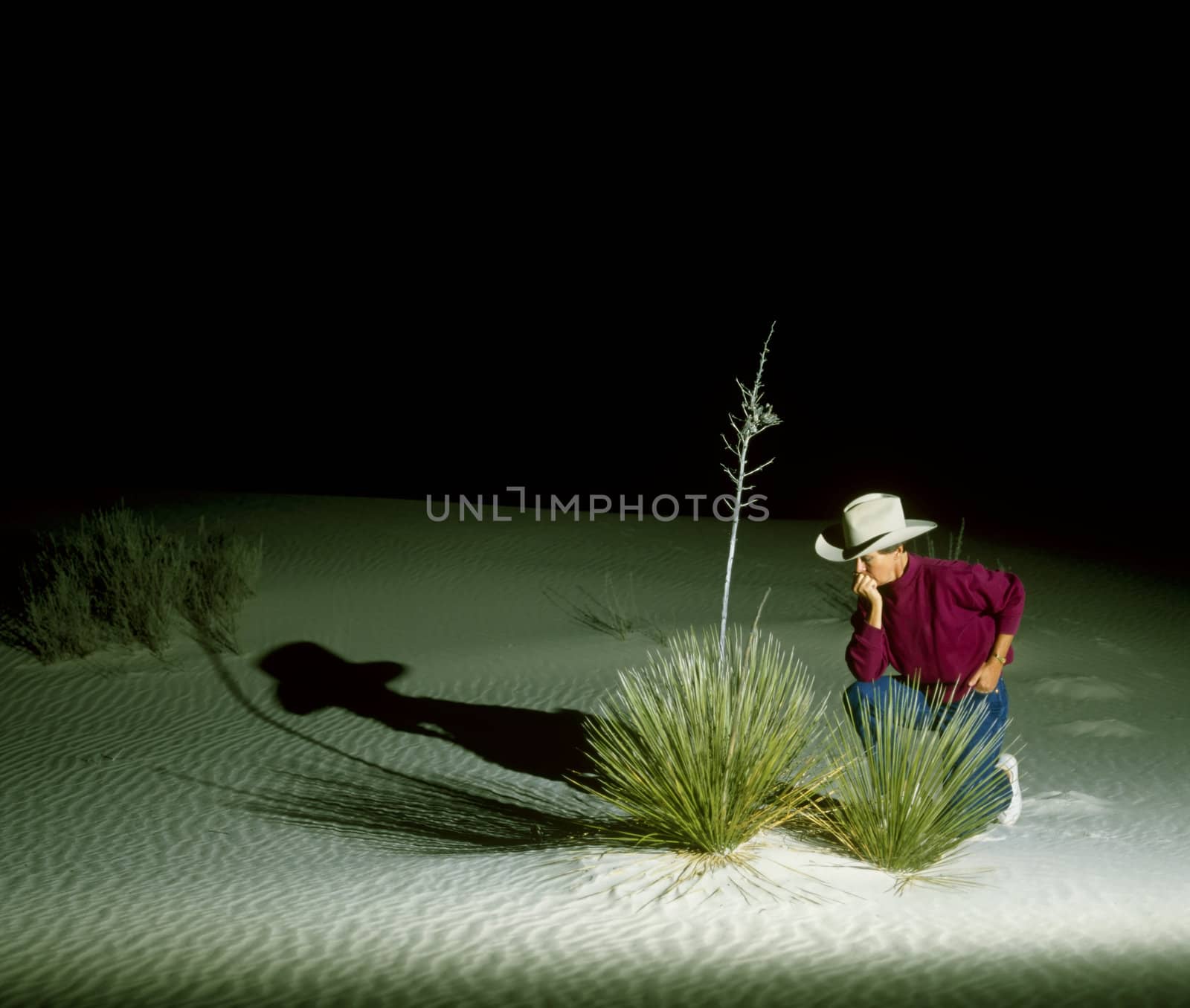 Rippled sand dunes in White Sands National Monument, New Mexico, USA